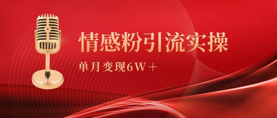 单月变现6w+，情感粉引流变现实操课-炫知网