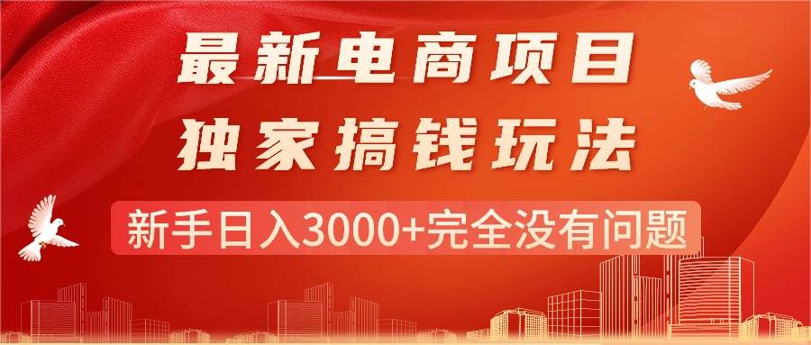 最新电商项目-搞钱玩法，新手日入3000+完全没有问题-炫知网