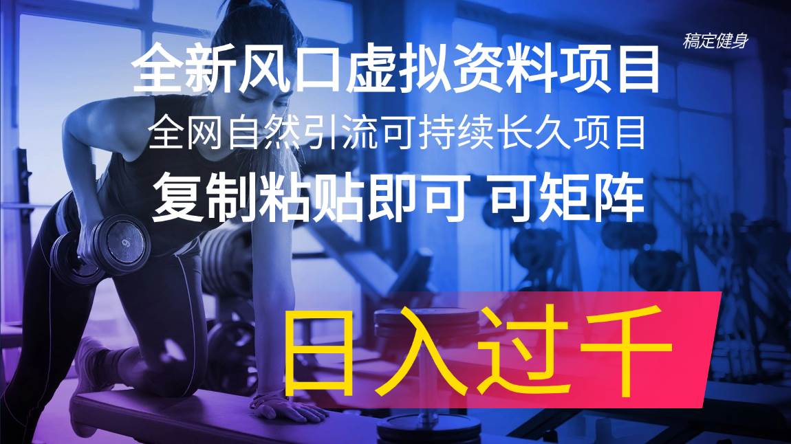 全新风口虚拟资料项目 全网自然引流可持续长久项目 复制粘贴即可可矩阵...-炫知网