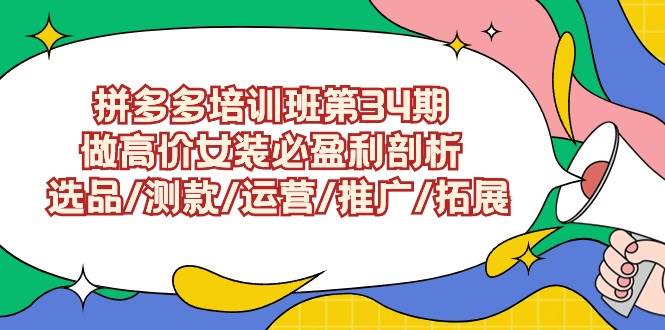 拼多多培训班第34期：做高价女装必盈利剖析  选品/测款/运营/推广/拓展-炫知网