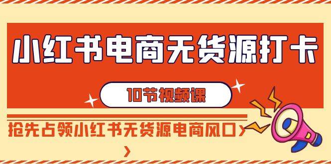 小红书电商-无货源打卡，抢先占领小红书无货源电商风口（10节课）-炫知网