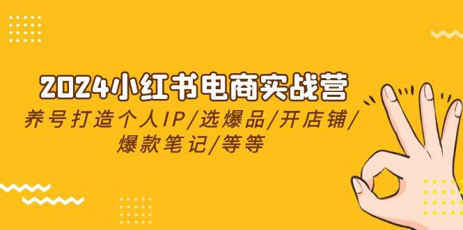 2024小红书电商实战营，养号打造IP/选爆品/开店铺/爆款笔记/等等（24节）-炫知网