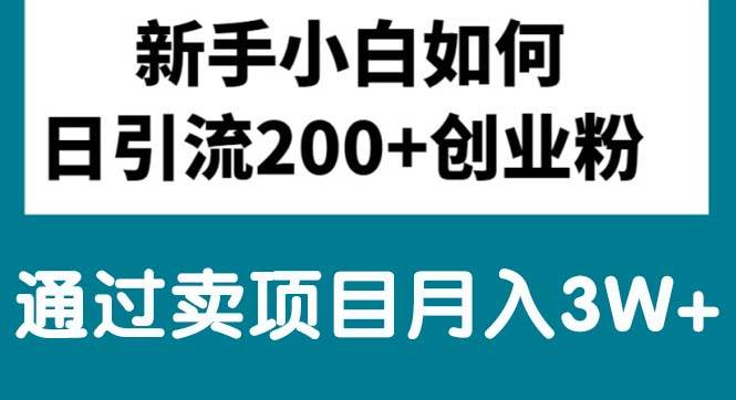 新手小白日引流200+创业粉,通过卖项目月入3W+-炫知网