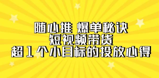 随心推 爆单秘诀，短视频带货-超1个小目标的投放心得（7节视频课）-炫知网