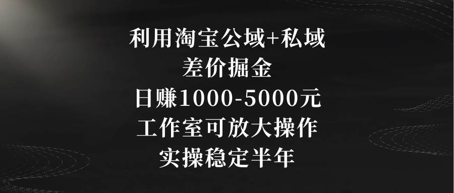 利用淘宝公域+私域差价掘金，日赚1000-5000元，工作室可放大操作，实操...-炫知网