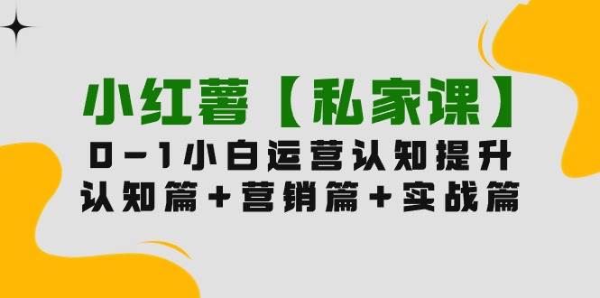 小红薯【私家课】0-1玩赚小红书内容营销，认知篇+营销篇+实战篇（11节课）-炫知网