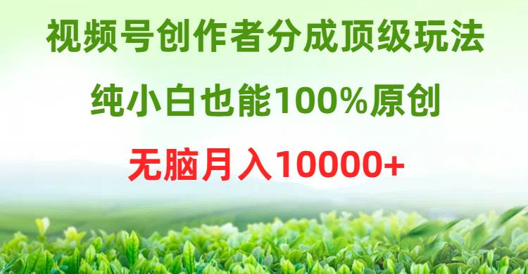 视频号创作者分成顶级玩法，纯小白也能100%原创，无脑月入10000+-炫知网