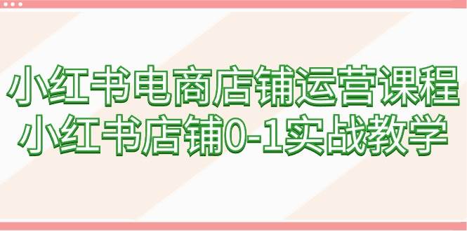 小红书电商店铺运营课程，小红书店铺0-1实战教学（60节课）-炫知网