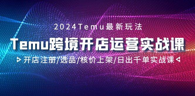 2024Temu跨境开店运营实战课，开店注册/选品/核价上架/日出千单实战课-炫知网