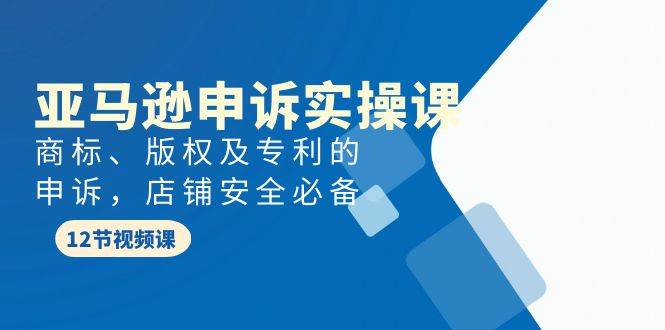 亚马逊-申诉实战课，商标、版权及专利的申诉，店铺安全必备-炫知网