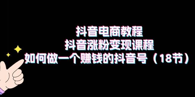 抖音电商教程：抖音涨粉变现课程：如何做一个赚钱的抖音号（18节）-炫知网