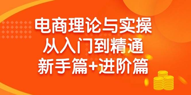 电商理论与实操从入门到精通 新手篇+进阶篇-炫知网