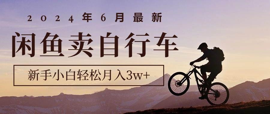 2024年6月最新闲鱼卖自行车，新手小白轻松月入3w+项目-炫知网