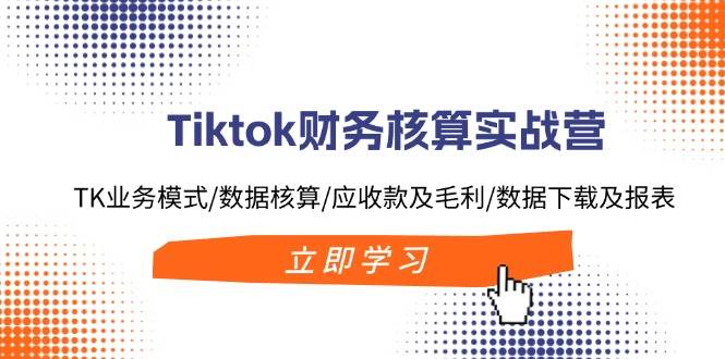 Tiktok财务核算实战营：TK业务模式/数据核算/应收款及毛利/数据下载及报表-炫知网