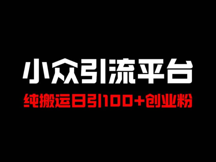 冷门引流平台，纯搬运日引100+高质量年轻创业粉！-炫知网