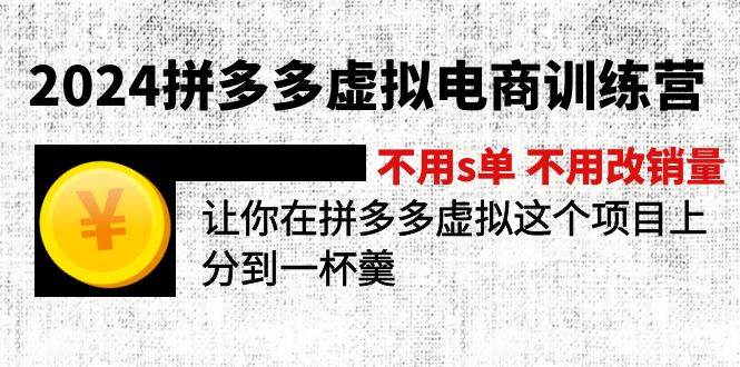 2024拼多多虚拟电商训练营 不s单 不改销量  做虚拟项目分一杯羹(更新10节)-炫知网