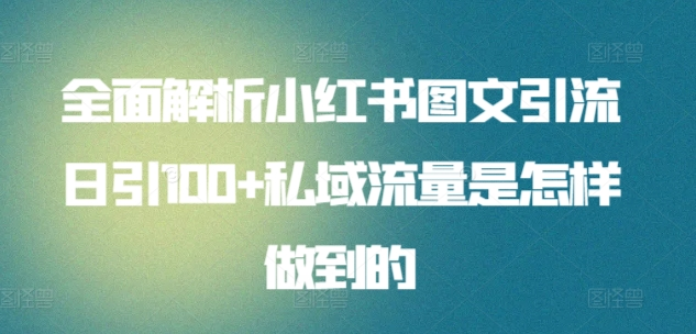 日引流100私域流量小红书图文是怎样做到的全面解析-炫知网