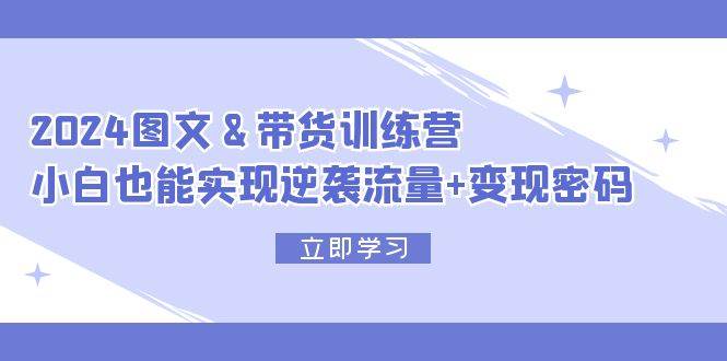 2024 图文+带货训练营，小白也能实现逆袭流量+变现密码-炫知网