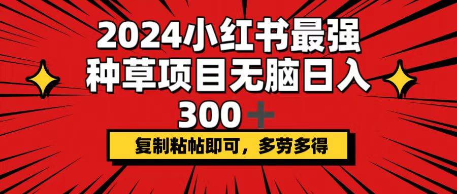 2024小红书最强种草项目，无脑日入300+，复制粘帖即可，多劳多得-炫知网