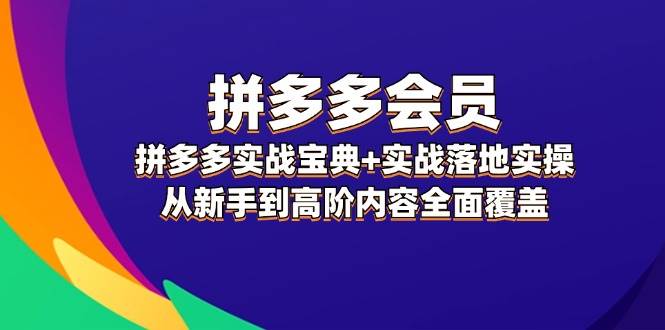 拼多多 会员，拼多多实战宝典+实战落地实操，从新手到高阶内容全面覆盖-炫知网