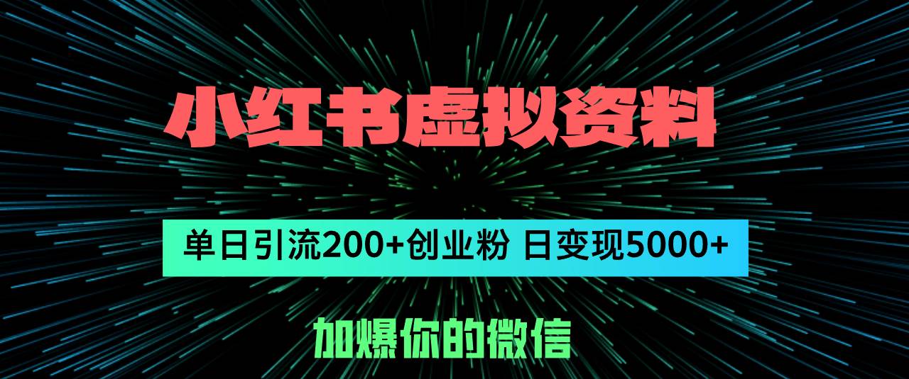 小红书虚拟资料日引流200+创业粉，单日变现5000+-炫知网