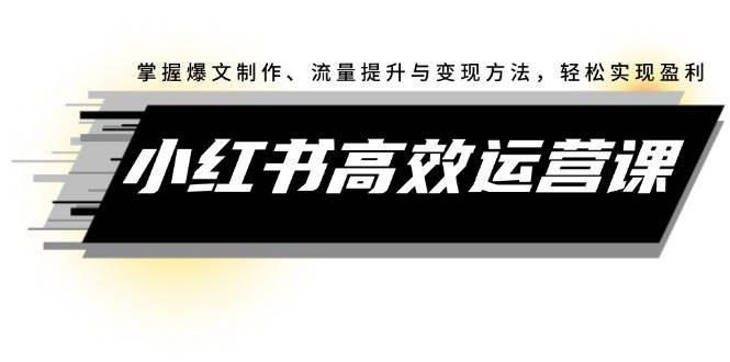 小红书高效运营课：掌握爆文制作、流量提升与变现方法，轻松实现盈利-炫知网