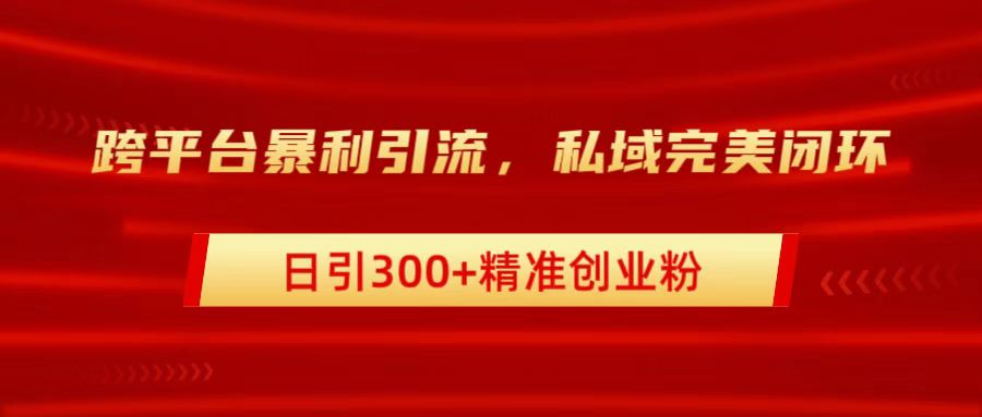 跨平台暴力引流，私域完美闭环，日引300+精准创业粉-炫知网