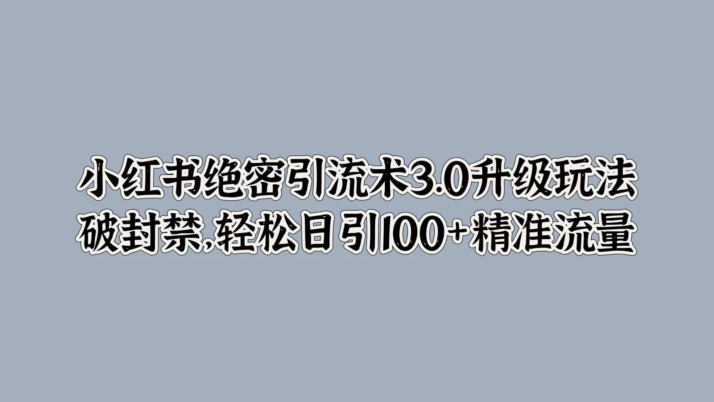 小红书绝密引流术3.0升级玩法，破封禁，轻松日引100+精准流量-炫知网