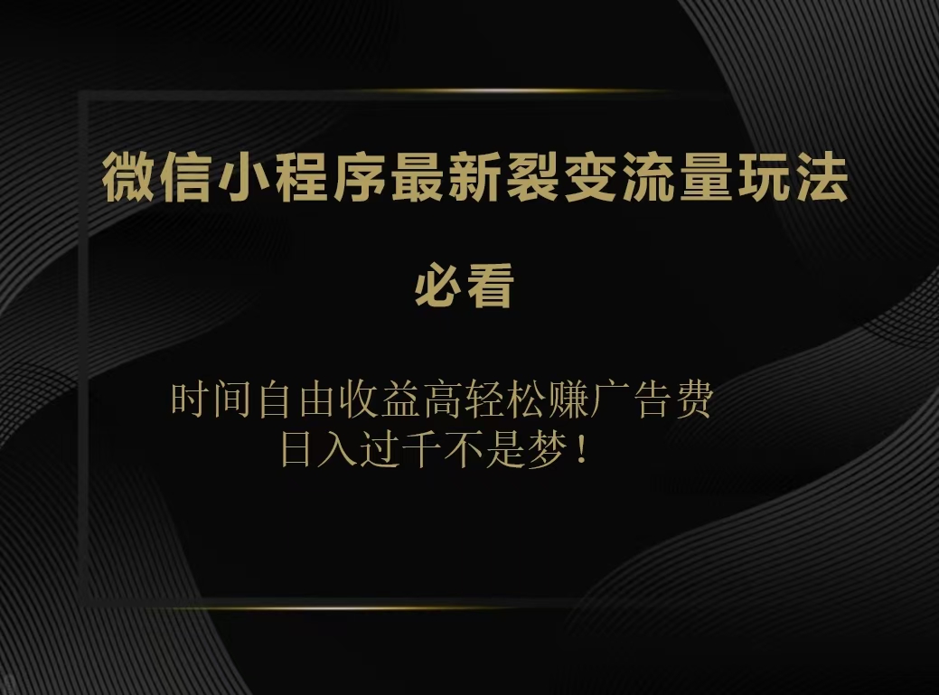 微信小程序最新裂变流量玩法，时间自由收益高轻松赚广告费，日入200-500+-炫知网