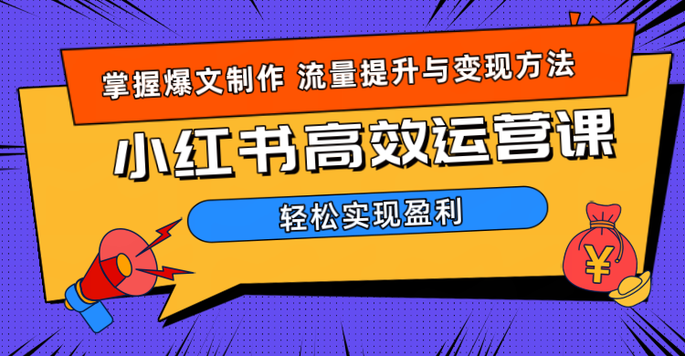 价值980小红书运营操作指南-炫知网