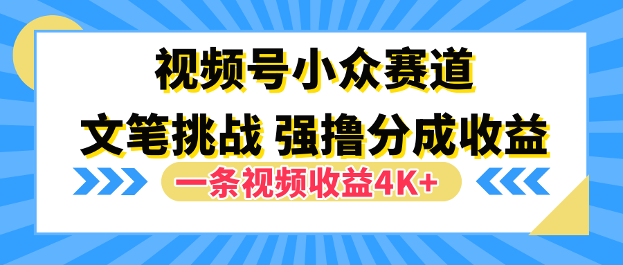 视频号小众赛道，文笔挑战，一条视频收益4K+-炫知网