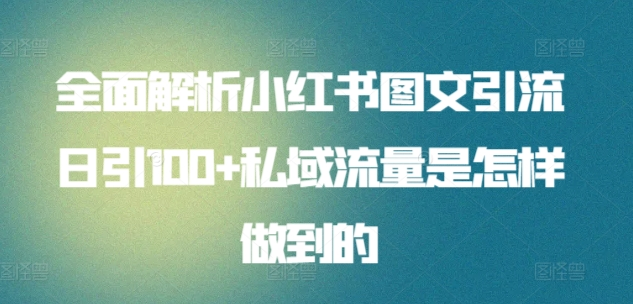 暴力引流 小红书图文引流日引100私域全面拆解【打粉人必看】-炫知网