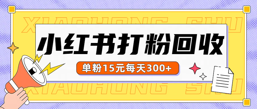 小红书打粉，单粉15元回收每天300+-炫知网