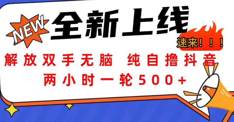 解放双手无脑 纯自撸抖音 两小时一轮500+-炫知网