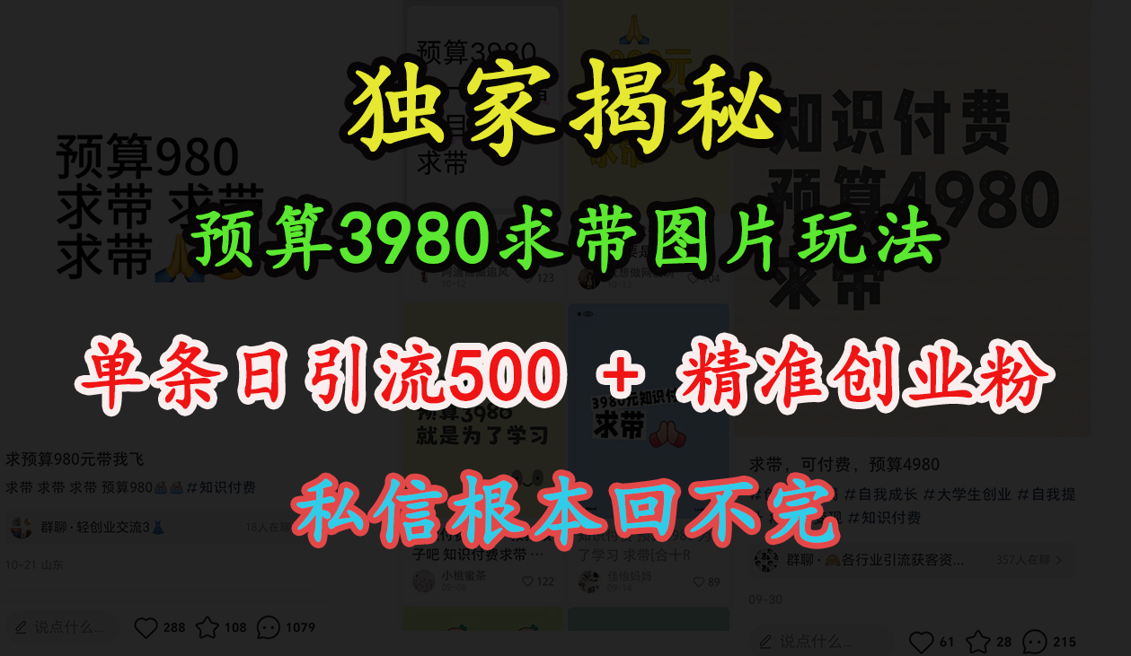 “小红书”预算3980求带 图片玩法，单条日引流500+精准创业粉，私信根本回不完-炫知网