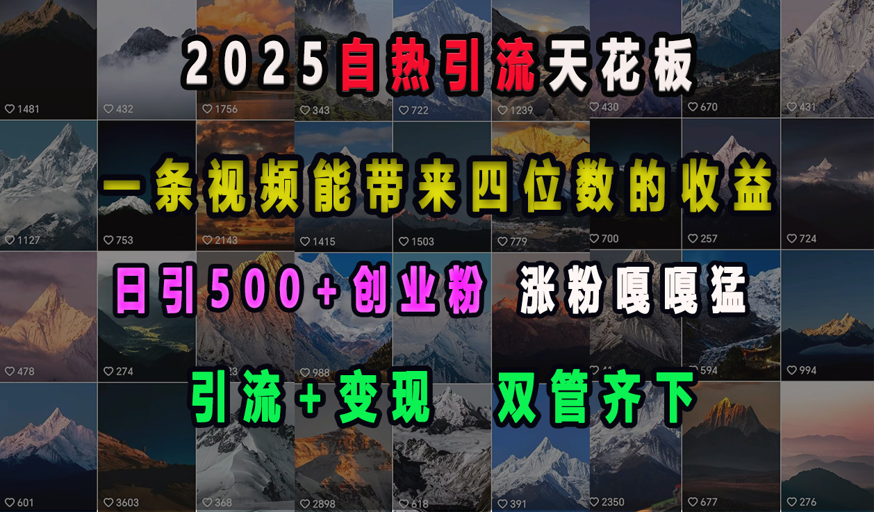 2025自热引流天花板，一条视频能带来四位数的收益，引流+变现双管齐下，日引500+创业粉，涨粉嘎嘎猛-炫知网