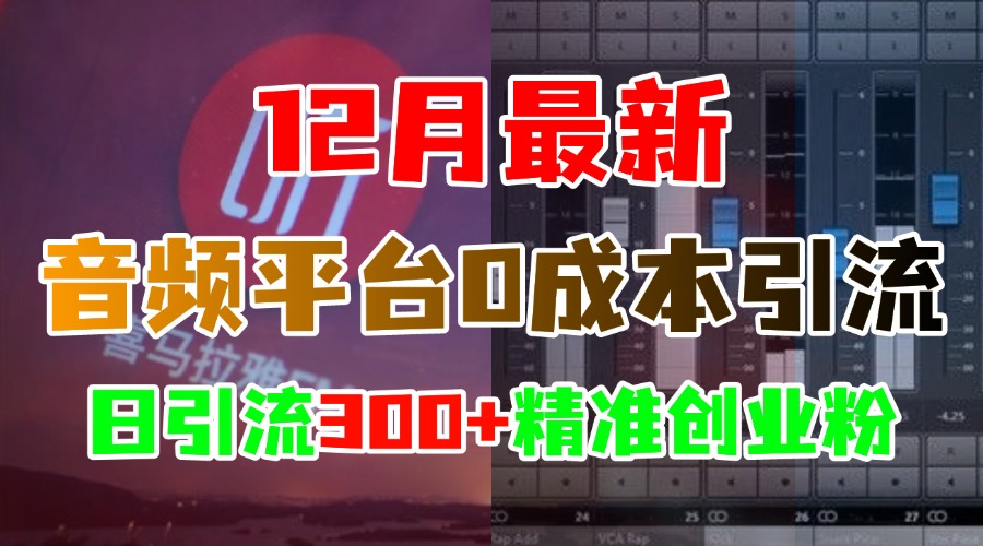 12月最新：音频平台0成本引流，日引300+精准创业粉-炫知网