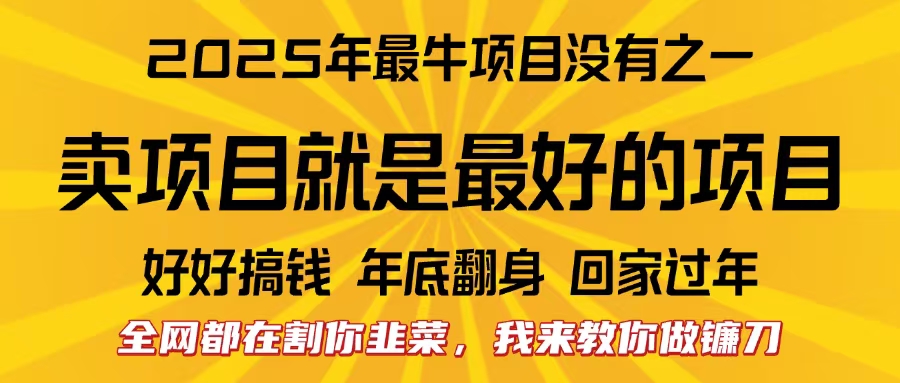 全网都在割你韭菜，我来教你做镰刀。卖项目就是最好的项目，2025年最牛互联网项目-炫知网