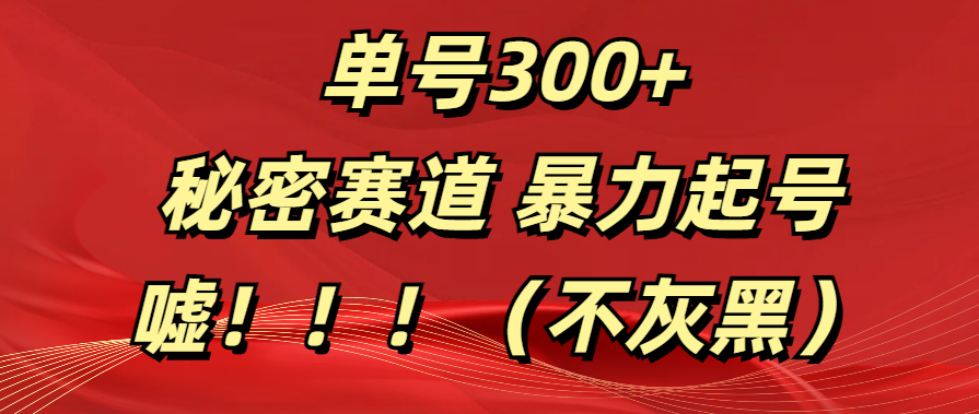 单号300+  秘密赛道 暴力起号  （不灰黑）-炫知网