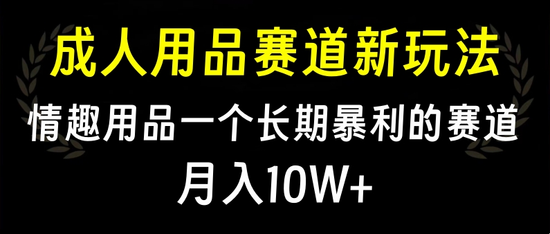 大人用品赛道新玩法，情趣用品一个长期暴利的赛道，月入10W+-炫知网