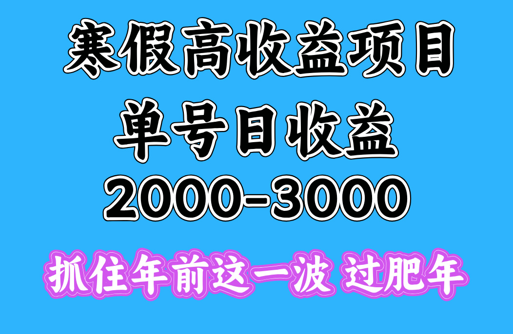 寒假期间一天收益2000-3000+，抓住年前这一波-炫知网