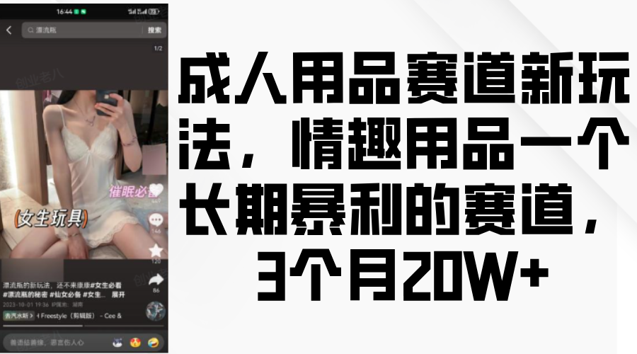 情趣用品一个长期暴利的赛道，成人用品赛道新玩法，3个月20W+-炫知网