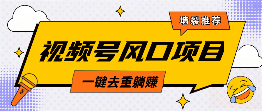 视频号风口蓝海项目，中老年人的流量密码，简单无脑，一键去重，轻松月入过万-炫知网