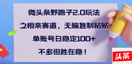 全网首发微头条野路子2.0玩法之相亲赛道，无脑搬砖复制粘贴，单账号日稳定300+保姆级教程-炫知网