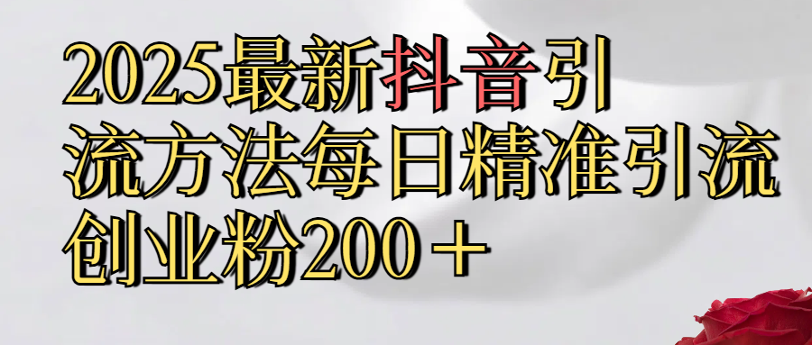 2025最新,抖音引流,方法每日精准引流创业粉300＋-炫知网