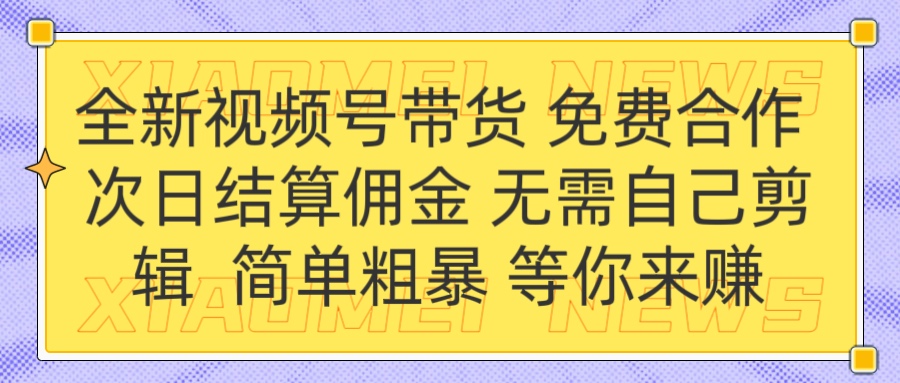 全新视频号 免费合作 佣金次日结算 无需自己剪辑-炫知网