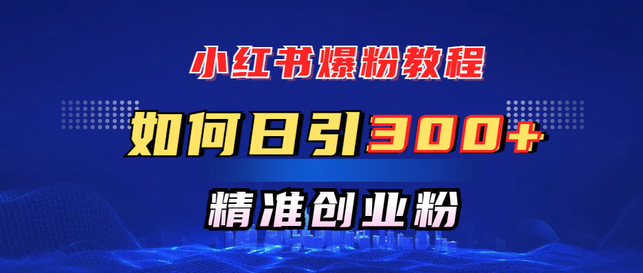 小红书爆粉教程，如何日引300+创业粉，快速实现精准变现！-炫知网