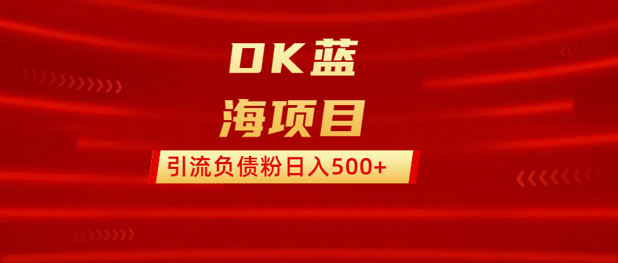 DK蓝海项目  通过，抖音，快手，小红书，引流负债粉日入500+-炫知网