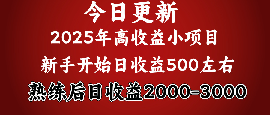 好项目一眼就能看出来，日收益1000，长久可做，2025拼的就是我比你勤奋-炫知网