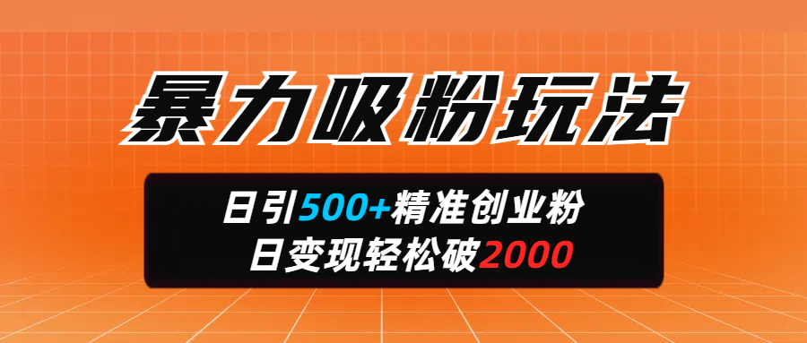 暴力吸粉玩法，日引500+精准创业粉，日变现轻松破2000-炫知网